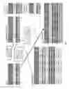 Fig. 10 - Flexibly performing allocations in databases