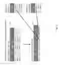 Fig. 12 - Flexibly performing allocations in databases