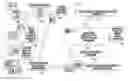 Fig. 01 - METHODS AND APPARATUSES USING MOLECULAR FINGERPRINTS TO PROVIDE TARGETED THERAPEUTIC STRATEGIES