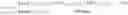 Fig. 44 - Method and device for image processing