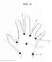 Fig. 07 - Biometric information registration device and method