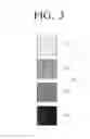 Fig. 04 - IMAGE FORMING APPARATUS, METHOD FOR CALIBRATING PRINT DENSITY, AND COMPUTER-READABLE RECORDING MEDIUM