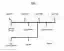 Fig. 01 - Content based similarity detection