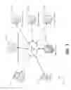 Fig. 02 - Centralized financial account migration system