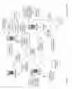 Fig. 71 - Reversed User Account Generation Apparatuses, Methods and Systems