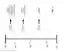 Fig. 12 - Identity risk scoring