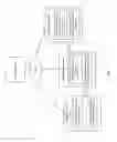 Fig. 16 - PROMOTION INFRASTRUCTURE SUPPORTING MULTIPLE SELLERS
