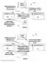 Fig. 04 - ADVANCING PAYMENT TO AN AFFILIATE BASED ON COMPANY ELECTRONIC LINK ACTIVITY