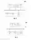 Fig. 05 - SYSTEM, APPARATUS AND METHOD FOR USER TO OBTAIN SERVICE FROM PROFESSIONAL