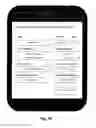 Fig. 13 - SYSTEM, APPARATUS AND METHOD FOR USER TO OBTAIN SERVICE FROM PROFESSIONAL