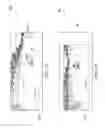 Fig. 04 - Scene scan