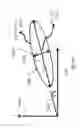 Fig. 77 - Orthopedic treatment device co-display systems and methods