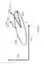 Fig. 79 - Orthopedic treatment device co-display systems and methods