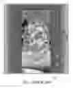 Fig. 02 - Window Decoration Kit and Method of Application Thereof