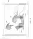Fig. 07 - Window Decoration Kit and Method of Application Thereof