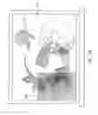 Fig. 08 - Window Decoration Kit and Method of Application Thereof