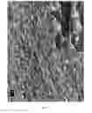 Fig. 11 - Cellulose capsules