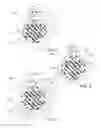 Fig. 04 - Wireline Cables Not Requiring Seasoning