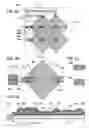 Fig. 06 - Element and formation method of film