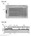 Fig. 07 - Element and formation method of film