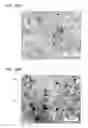 Fig. 17 - Element and formation method of film