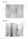 Fig. 19 - Element and formation method of film