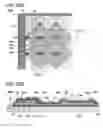 Fig. 24 - Element and formation method of film