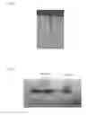 Fig. 06 - Rare Earth Laminated, Composite Magnets With Increased Electrical Rersistivity