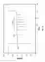 Fig. 08 - Electromagnetic switch with damping interface