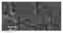 Fig. 01 - Elimination of basal plane dislocations in post growth silicon carbide epitaxial layers by high temperature annealing while preserving surface morphology
