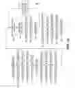 Fig. 09 - Stacked bit line dual word line nonvolatile memory