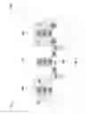 Fig. 04 - Semiconductor device and method of forming the same