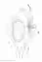Fig. 08 - LIGHT EMITTING DIODE PACKAGE STRUCTURE