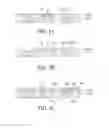 Fig. 06 - Light-emitting package structure and method of fabricating the same