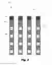 Fig. 05 - Resistive memory cell array with top electrode bit line