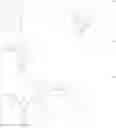 Fig. 131 - High-molecular compound and light-emitting element using same