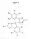 Fig. 02 - Bidentate heteroleptic square planar complexes of (pyridyl)azolates