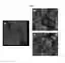 Fig. 02 - METHOD OF PREPARING MOLYBDENUM OXIDE FILMS