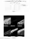 Fig. 02 - Process for producing a solid oxide fuel cell by depositing an electrically conductive and gas permeable layer on a porous support substrate