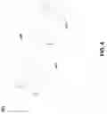 Fig. 04 - Feeding network for base station antenna