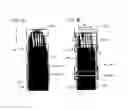 Fig. 09 - Method of manufacturing a connection structural body
