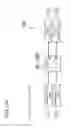 Fig. 10 - Optical transmitter and optical communication device