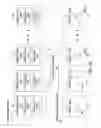 Fig. 03 - Techniques for visualizing dynamic datasets