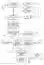 Fig. 01 - EMAIL DYNAMIC CONTENT RIBBON