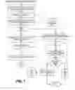 Fig. 08 - Synchronize Tape Delay and Social Networking Experience
