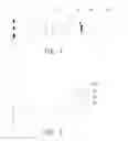 Fig. 02 - MULTI-CHANNEL GLARE-SUPPRESSION DEVICE OF A DIGITAL IMAGE SYSTEM
