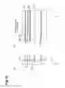 Fig. 11 - Image capturing apparatus and focusing method thereof