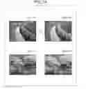 Fig. 35 - Image conversion apparatus and method reducing number of pixel counts processing