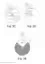 Fig. 04 - Spatial filter bank for hearing system