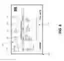 Fig. 09 - Providing access dependent services via a broadband access gateway